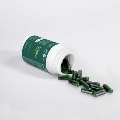 Fat Burner Support with MCT